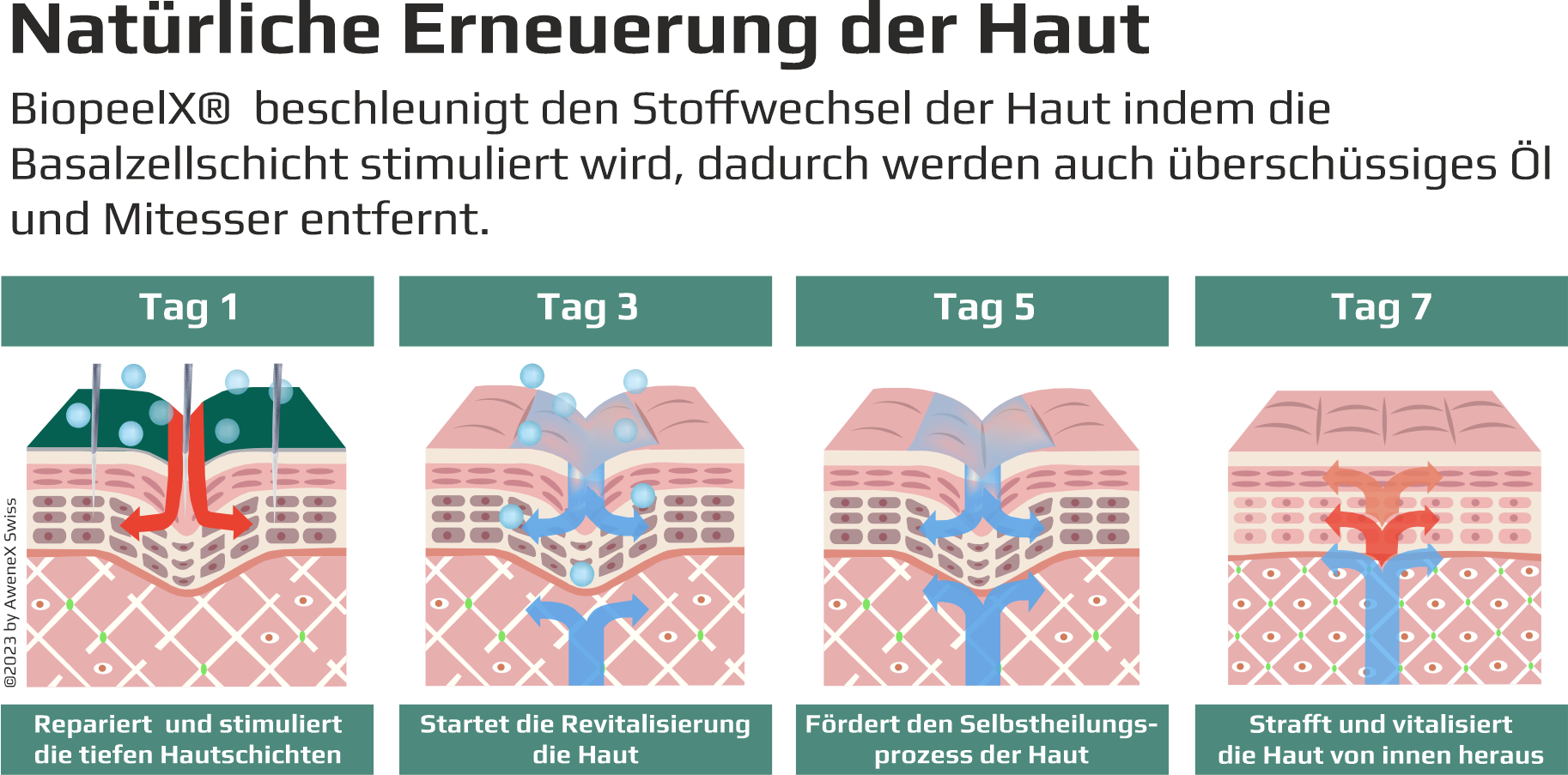 BiopeelX, grafiken2